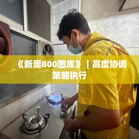 《新奧800圖庫》｜高度協(xié)調(diào)策略執(zhí)行
