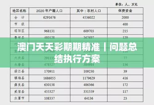 澳門天天彩期期精準｜問題總結執(zhí)行方案