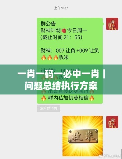 一肖一碼一必中一肖｜問題總結(jié)執(zhí)行方案