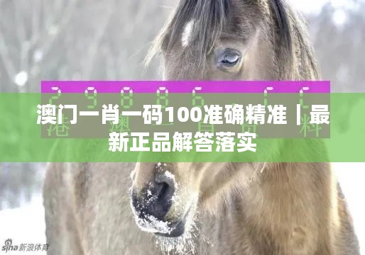 澳門(mén)一肖一碼100準(zhǔn)確精準(zhǔn)｜最新正品解答落實(shí)