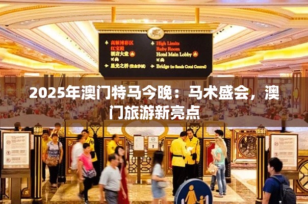 2025年澳門特馬今晚：馬術盛會，澳門旅游新亮點