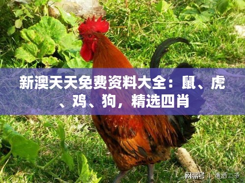 新澳天天免費(fèi)資料大全：鼠、虎、雞、狗，精選四肖