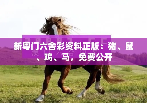 新粵門六舍彩資料正版：豬、鼠、雞、馬，免費(fèi)公開(kāi)