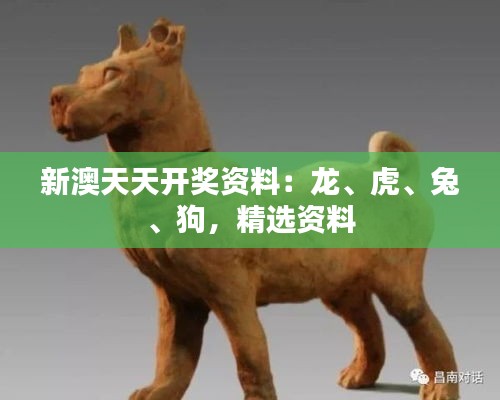 新澳天天開(kāi)獎(jiǎng)資料：龍、虎、兔、狗，精選資料