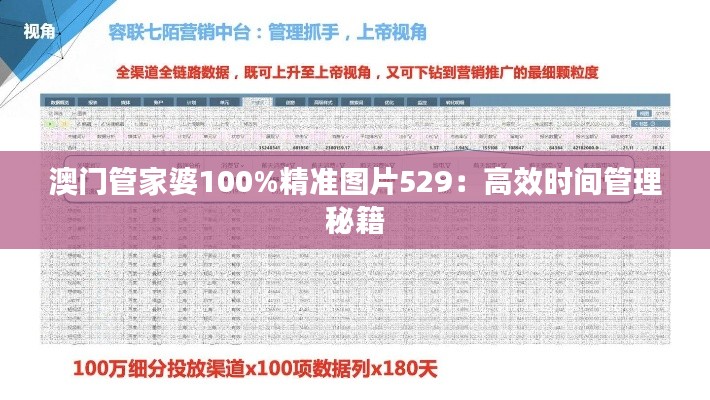 澳門管家婆100%精準圖片529：高效時間管理秘籍