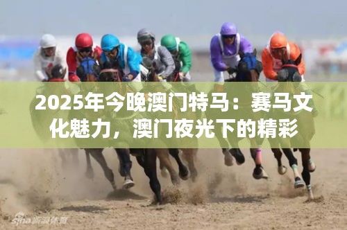 2025年今晚澳門特馬：賽馬文化魅力，澳門夜光下的精彩