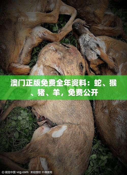 澳門正版免費全年資料：蛇、猴、豬、羊，免費公開