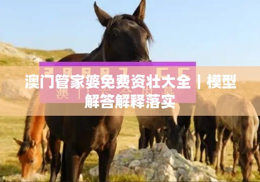 澳門管家婆免費資壯大全｜模型解答解釋落實