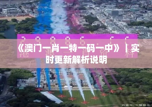 《澳門一肖一特一碼一中》｜實時更新解析說明