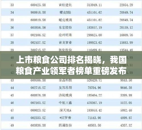 上市糧食公司排名揭曉，我國糧食產業(yè)領軍者榜單重磅發(fā)布！