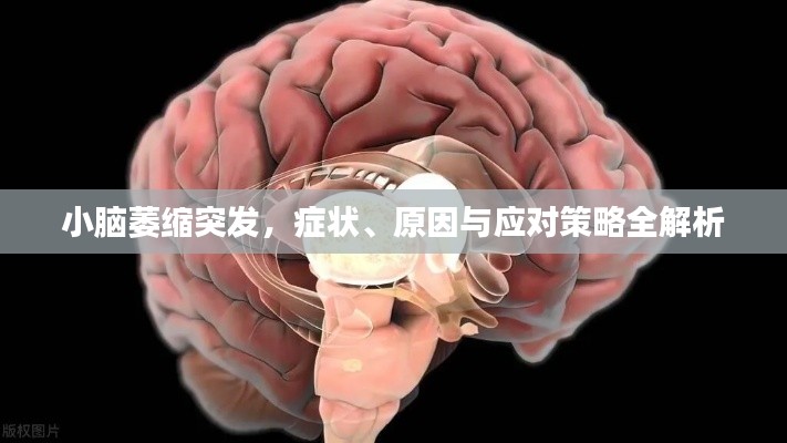 小腦萎縮突發(fā)，癥狀、原因與應(yīng)對(duì)策略全解析