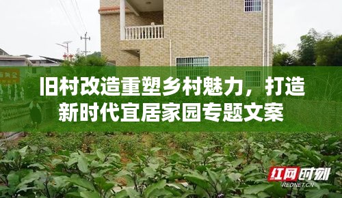 舊村改造重塑鄉(xiāng)村魅力，打造新時代宜居家園專題文案