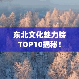 東北文化魅力榜TOP10揭秘！
