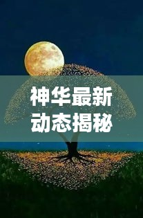 神華最新動態(tài)揭秘，今日消息一覽無余！
