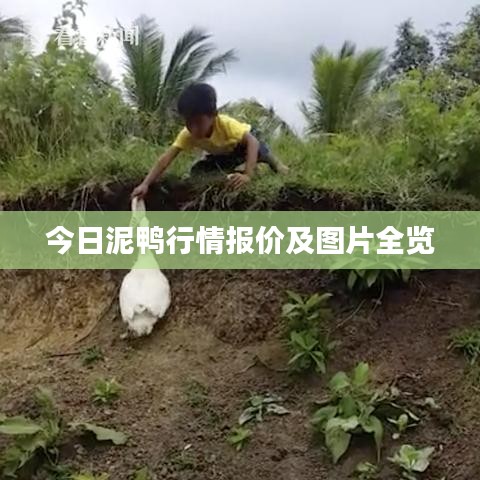 拾金不昧 第2頁