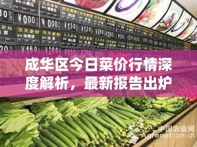 成華區(qū)今日菜價行情深度解析，最新報告出爐