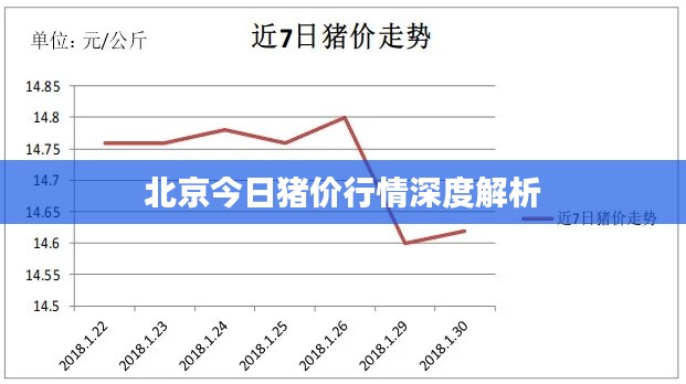 北京今日豬價行情深度解析