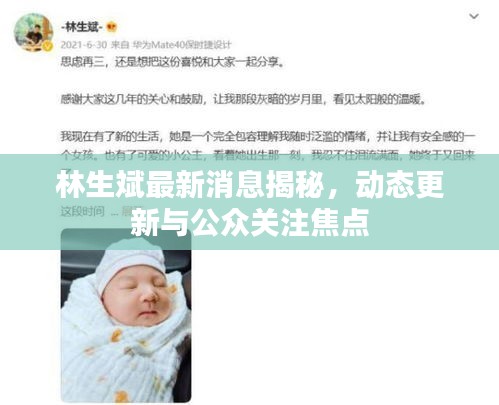 林生斌最新消息揭秘，動(dòng)態(tài)更新與公眾關(guān)注焦點(diǎn)