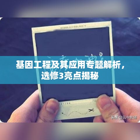 基因工程及其應用專題解析，選修3亮點揭秘