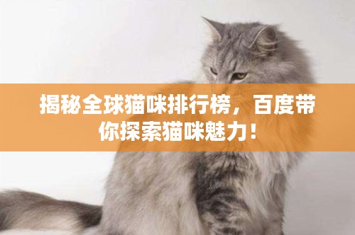 揭秘全球貓咪排行榜，百度帶你探索貓咪魅力！