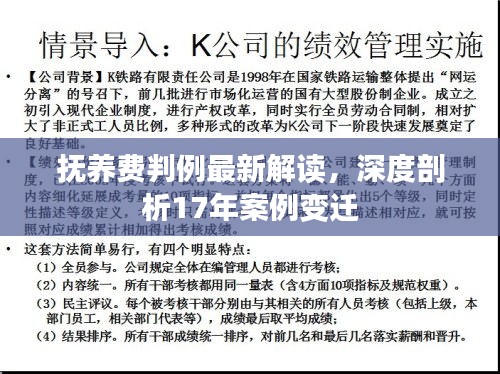 撫養(yǎng)費(fèi)判例最新解讀，深度剖析17年案例變遷