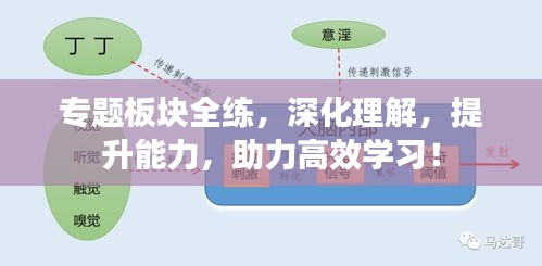 專(zhuān)題板塊全練，深化理解，提升能力，助力高效學(xué)習(xí)！