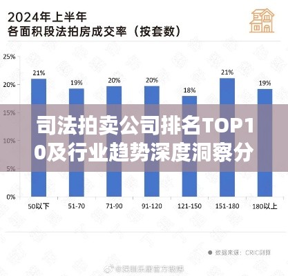 司法拍賣公司排名TOP10及行業(yè)趨勢深度洞察分析