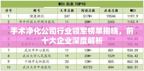 手術(shù)凈化公司行業(yè)領(lǐng)軍榜單揭曉，前十大企業(yè)深度解析