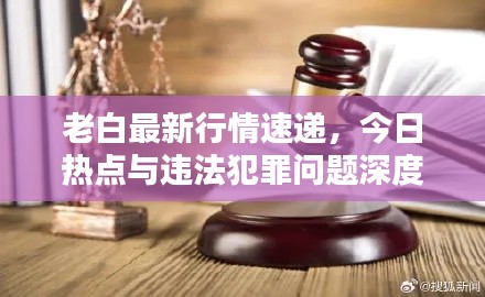 老白最新行情速遞，今日熱點(diǎn)與違法犯罪問題深度解析