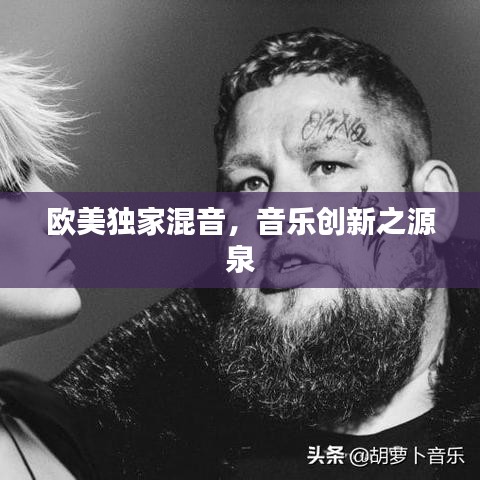 歐美獨(dú)家混音，音樂(lè)創(chuàng)新之源泉