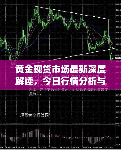 黃金現(xiàn)貨市場最新深度解讀，今日行情分析與展望