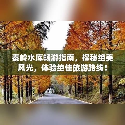 秦嶺水庫暢游指南，探秘絕美風光，體驗絕佳旅游路線！