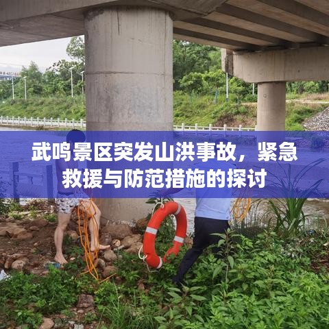 武鳴景區(qū)突發(fā)山洪事故，緊急救援與防范措施的探討