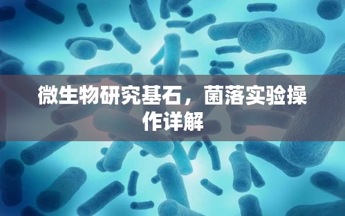 微生物研究基石，菌落實驗操作詳解