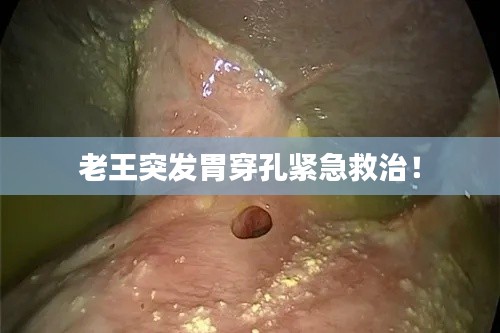 艱苦卓絕 第2頁(yè)