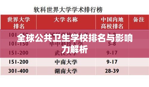 全球公共衛(wèi)生學(xué)校排名與影響力解析