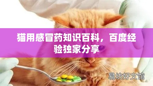貓用感冒藥知識百科，百度經(jīng)驗獨家分享