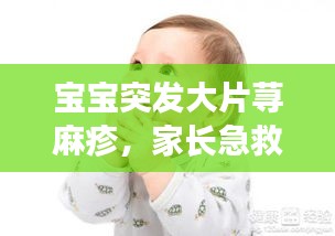 寶寶突發(fā)大片蕁麻疹，家長(zhǎng)急救措施與護(hù)理指南！
