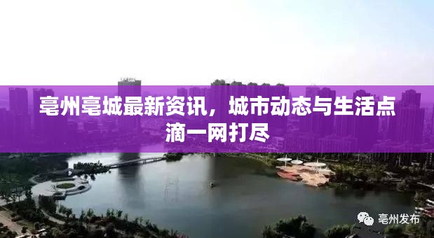 亳州亳城最新資訊，城市動態(tài)與生活點滴一網打盡