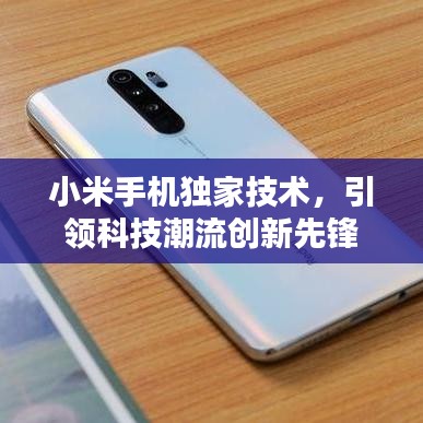 發(fā)硎新試 第2頁