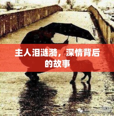 主人淚漣漪，深情背后的故事