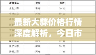 最新大蒜價(jià)格行情深度解析，今日市場動(dòng)態(tài)一網(wǎng)打盡！