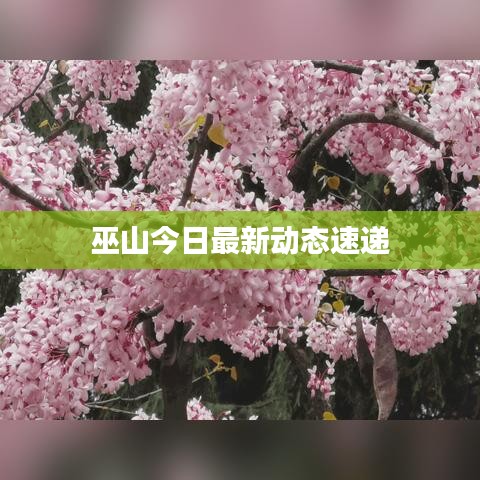 巫山今日最新動(dòng)態(tài)速遞