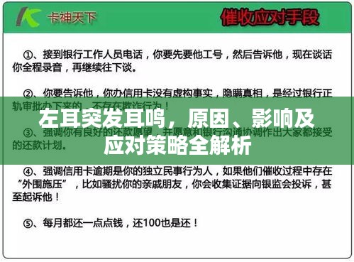 左耳突發(fā)耳鳴，原因、影響及應(yīng)對策略全解析