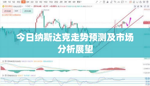 今日納斯達(dá)克走勢(shì)預(yù)測(cè)及市場(chǎng)分析展望