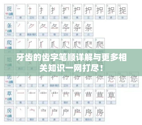牙齒的齒字筆順詳解與更多相關知識一網(wǎng)打盡！
