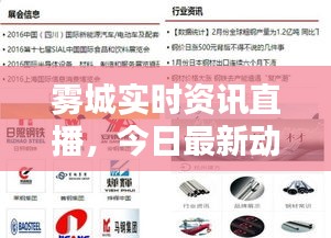 霧城實(shí)時(shí)資訊直播，今日最新動(dòng)態(tài)一網(wǎng)打盡