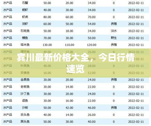 賓川最新價(jià)格大全，今日行情速覽