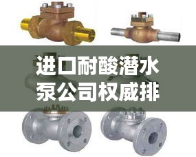 進(jìn)口耐酸潛水泵公司權(quán)威排名榜單揭曉！