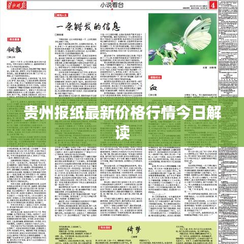 貴州報紙最新價格行情今日解讀